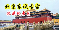 性wwww午夜色女喷水中国北京-东城古宫旅游风景区